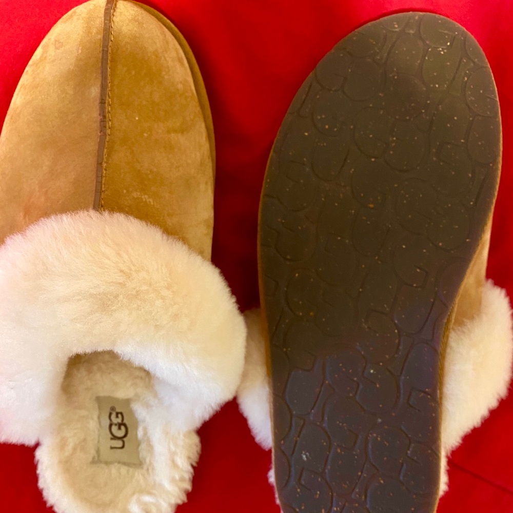 Uggs Scuffette slippers!
